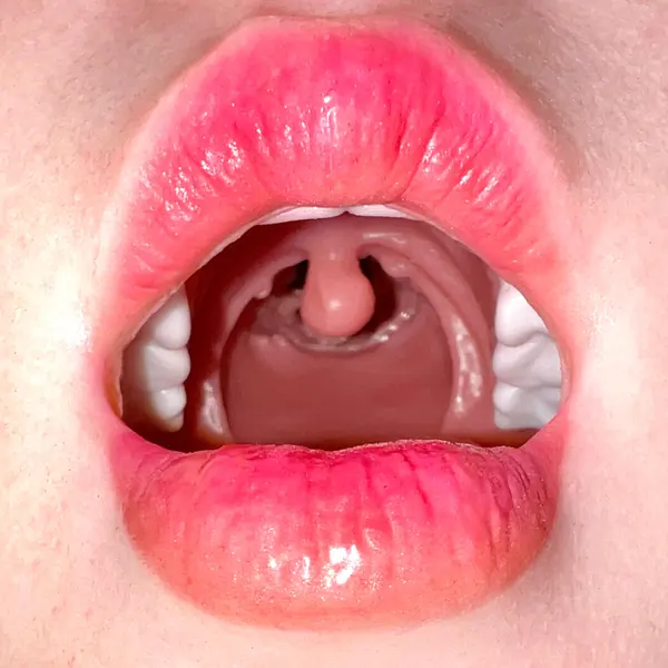 Huvud med realistisk oralfunktion