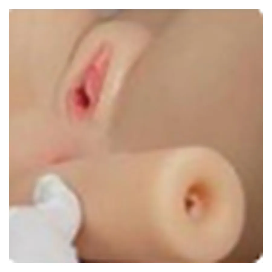 Avtagbar vagina